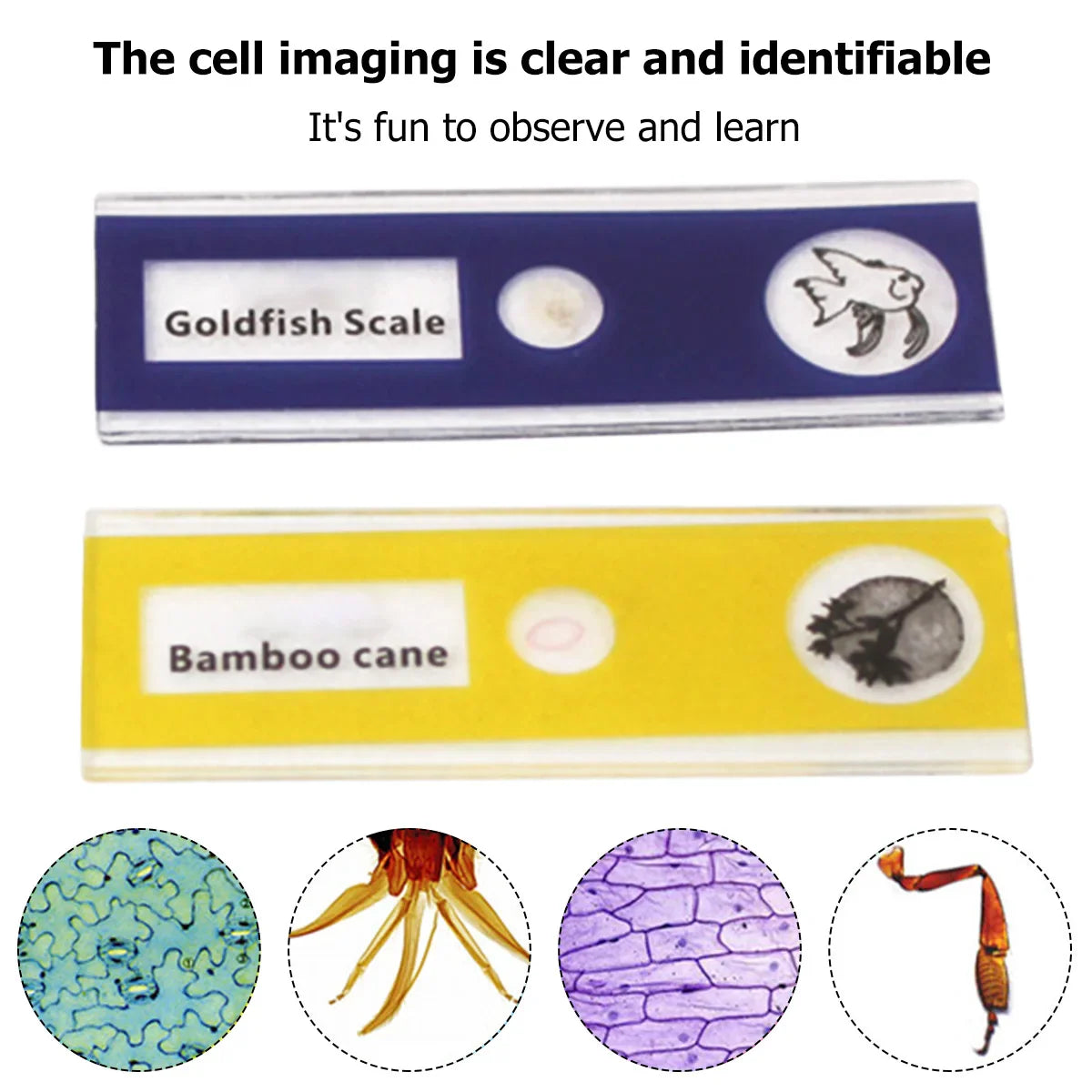 MicroExplorer Pro™ - Ontdek de natuur met je eigen mini microscoop!