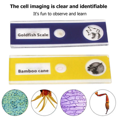 MicroExplorer Pro™ - Ontdek de natuur met je eigen mini microscoop!